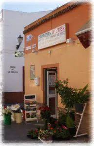 floristeria-maria-luisa-local
