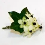 floristeria-maria-luisa-novio (3)