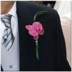 floristeria-maria-luisa-novio (4)