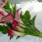 floristeria-maria-luisa-ramos