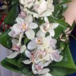 floristeria-maria-luisa-ramos (3)