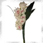 floristeria-maria-luisa-ramos (4)