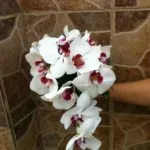 floristeria-maria-luisa-ramos (5)